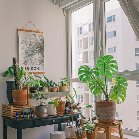 Home Products